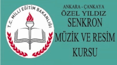 yıldız senkron müzik ve resim kursu