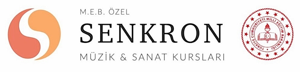 Ankara M.E.B. Özel Senkron Müzik Gitar - Piyano - Resim Bale Kursu