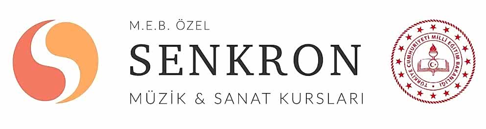Ankara M.E.B. Özel Senkron Müzik Gitar - Piyano - Resim Bale Kursu