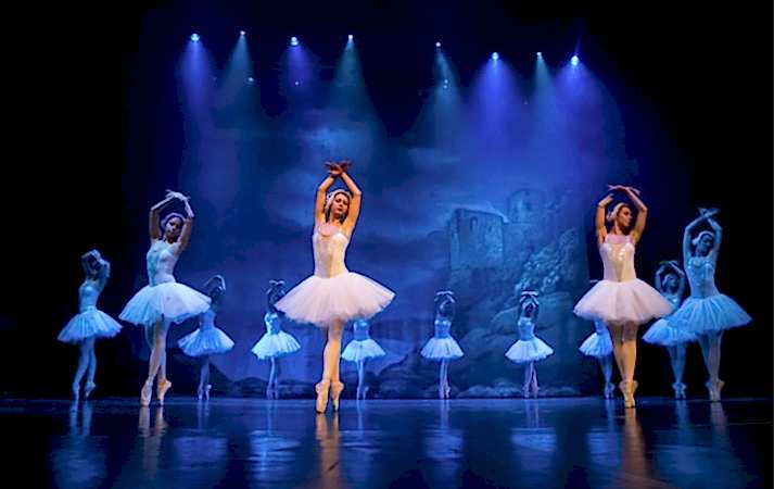 bale kursu gösterisi